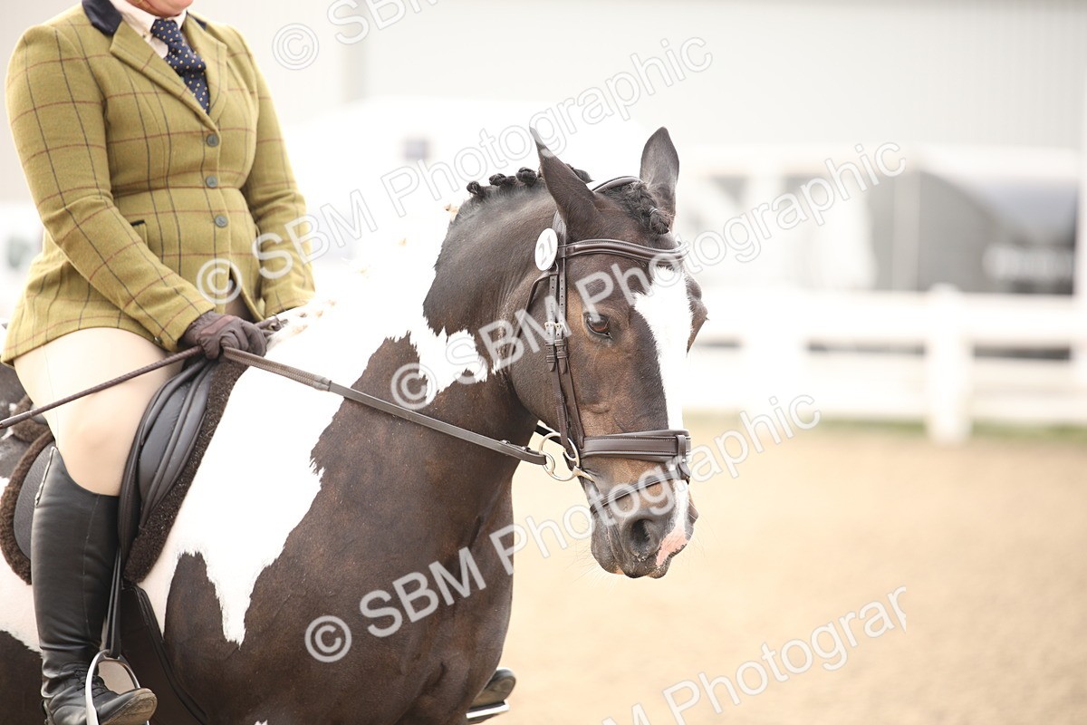 SBM_09744 - Class 401 Riding Club Pony
