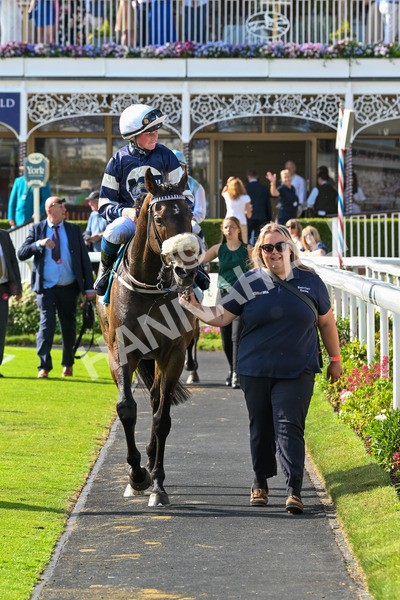 130625-Race 7-Dawn Of Liberation-0281 - Race 7 5.20pm Irish Thoroughbred Marketing Handicap