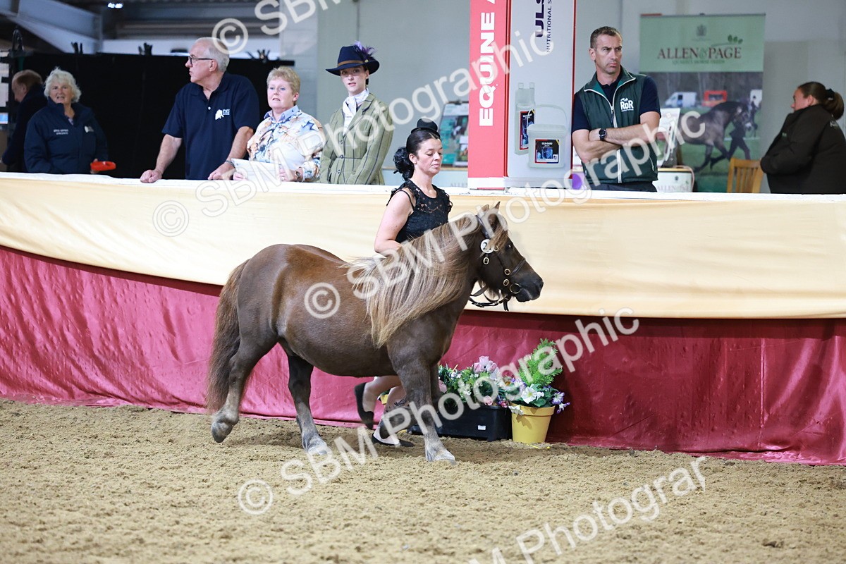 SBM_20081 - Class C - Novalty Champ