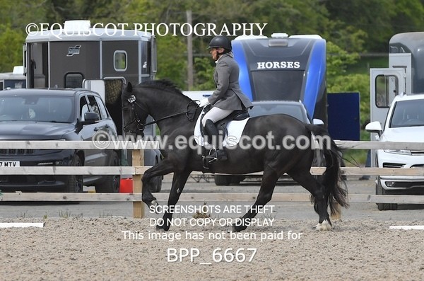 BPP_6667 - 42 L MCKIRDY