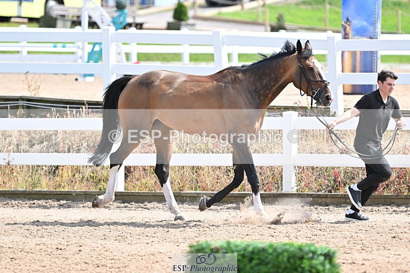 240717A-151746-02725 - Trot Up 3pm to 4pm