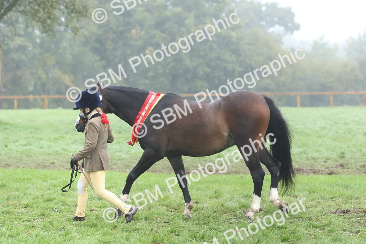 SBM_73237 - Super Supreme Championship(Sun)