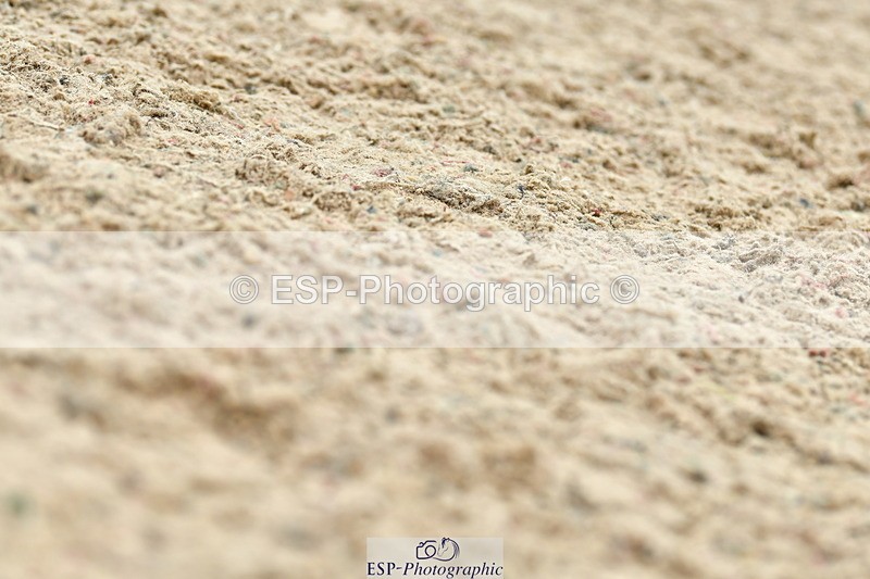 230804A-121832-02498 - Showjumping Competition