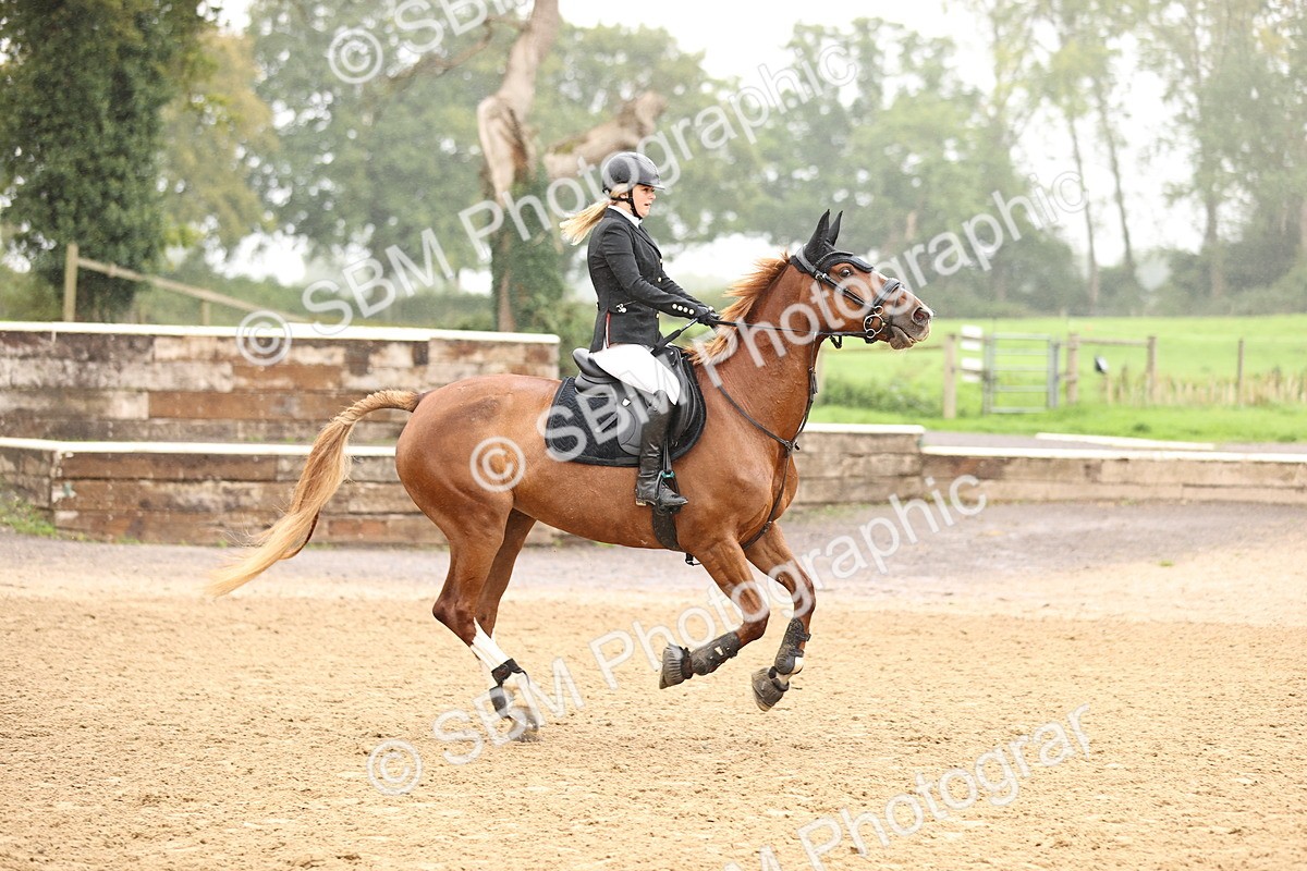 SBM_73287 - J19 - Junior Horse & Pony 90cm Supreme championship