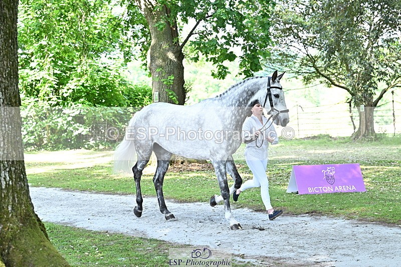 250521A-155402-00828 - B-377-Millie.Juleff-CFH.DAKAR.HILL