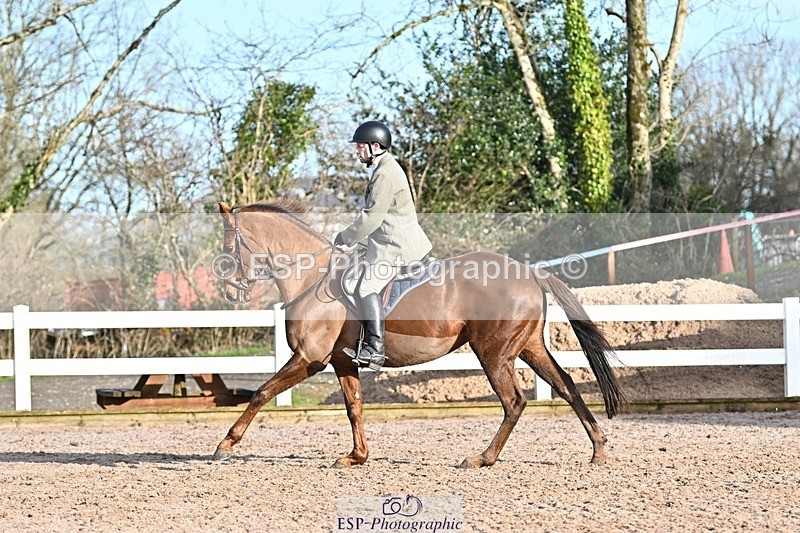250125-102415-00163 - Dressage - CT Class 4 BE95 (80cm)