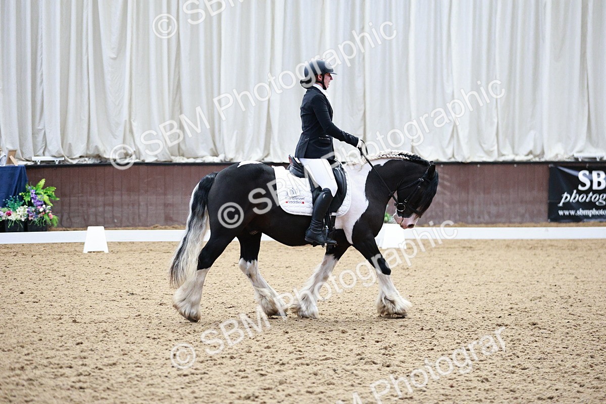 SBM_004132 - Class 13-19 - Novice FSM-INT 1 - 9.00-9.54