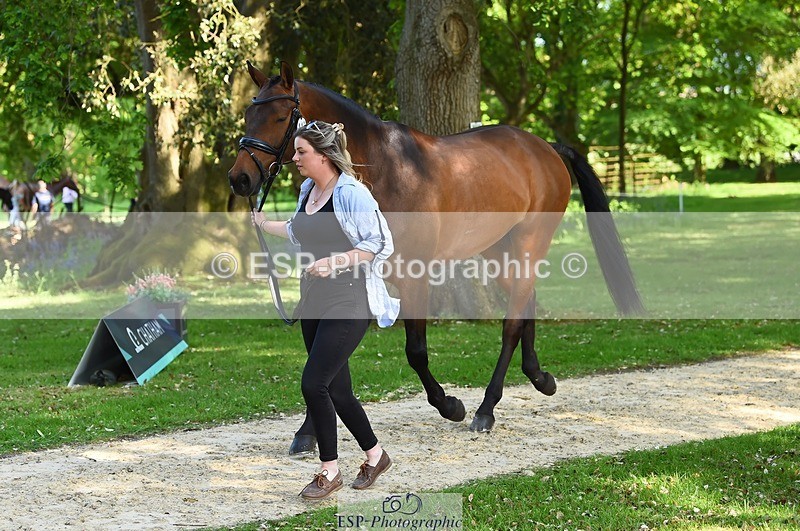 230524-164750-01092 - 115-RNH_ULTIMATE-Harriet_Wright-WEDTrotUp+DR