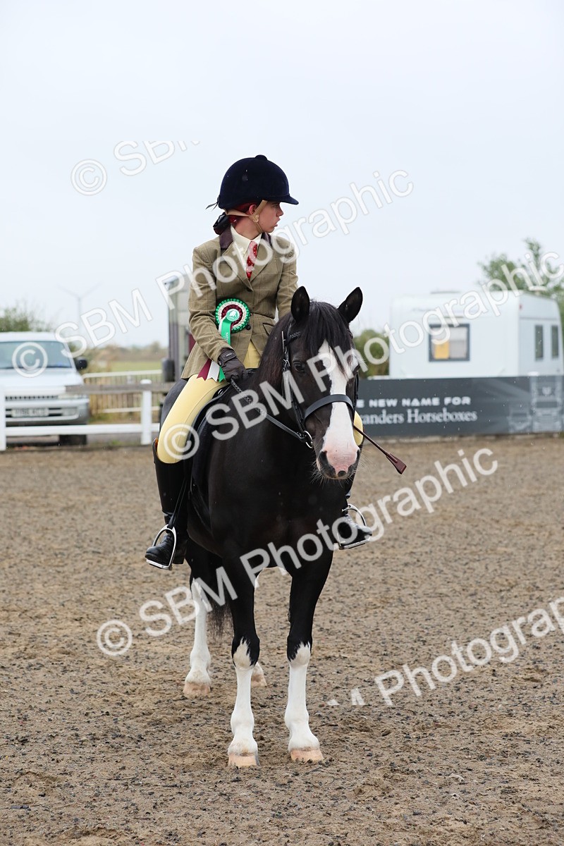 SBM_19972 - Class 801 - Ridden Veteran
