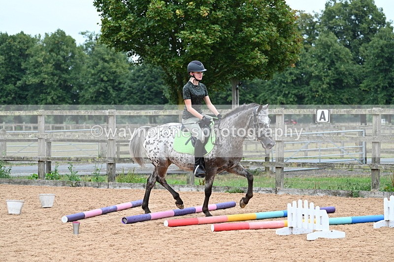 WJ7_9880 - Poles 14:00