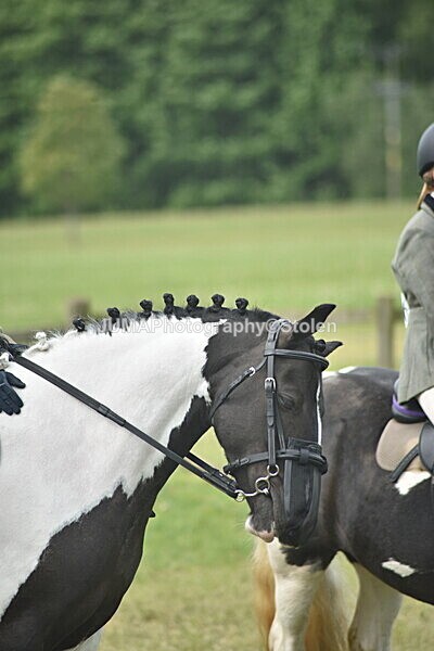 DSC_8377 - Rings 1 & 2