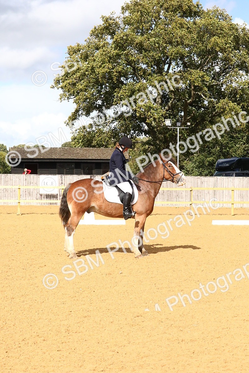 SBM_23616 - D5 - Small Tour Championshop Intro 2