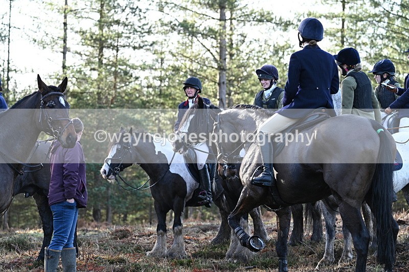 WJ7_7465 - Line 3 (no line 4 or 5)