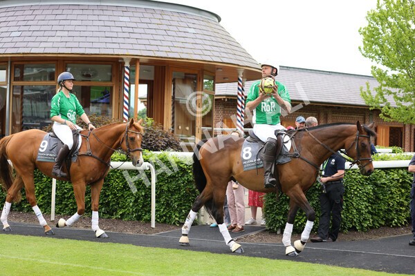 yr22052022r8e-113 - ROR - Parade Ring York