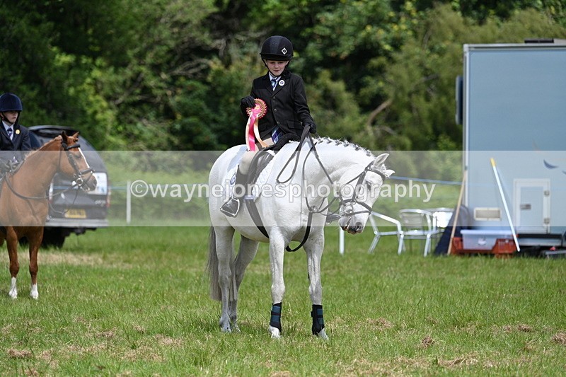 WJ7_1843 - Class 9 Pony Club Pony
