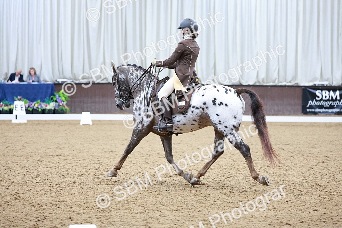 SBM_021402 - Class 14 - FEI Grand Prix - 17.40-18.34