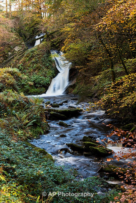 ACP_3443-1 - Peiran Falls