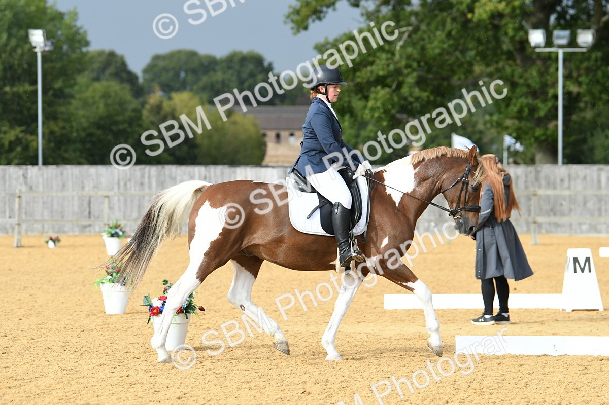 SBM_11073 - D28 Elementary Taster Elementary 42