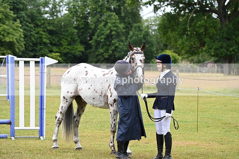 WJ6_8933 - Class 10 Coloured in-hand