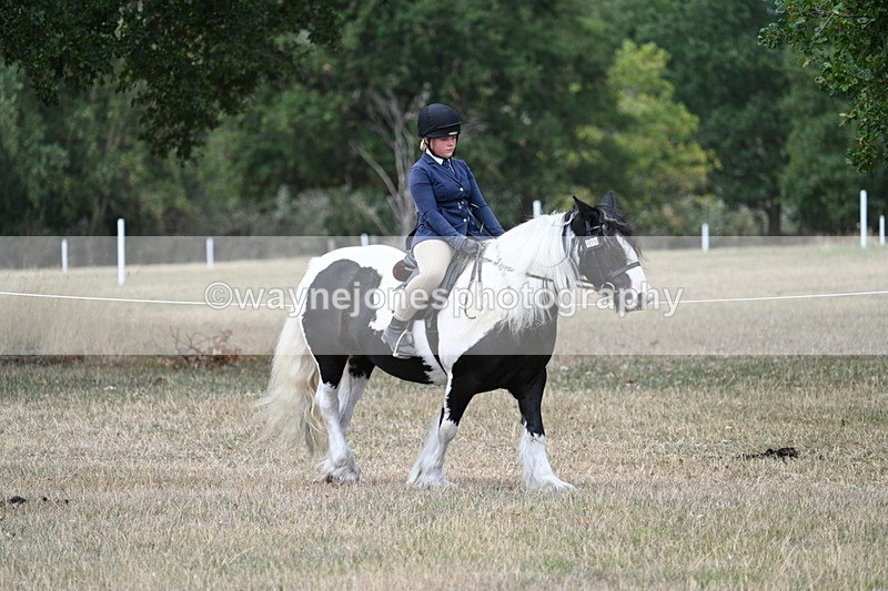 WJ7_4659 - Class 12 Ridden Cob
