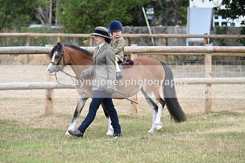 WJ7_9526 - Class 1 Lead Rein Pony