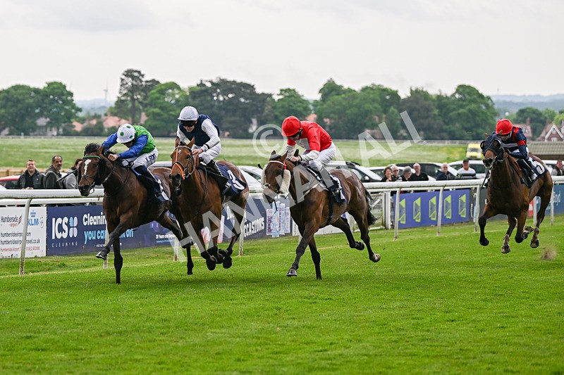 140524-Race 7-Spartan Warrior-3168 - Race 7