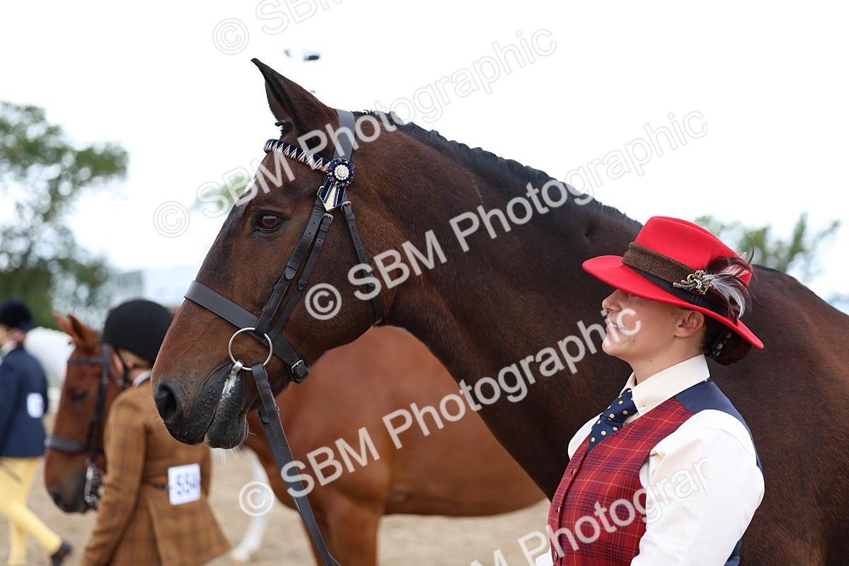 SBM_05128 - Class 27 - IH Competition Horse or Pony
