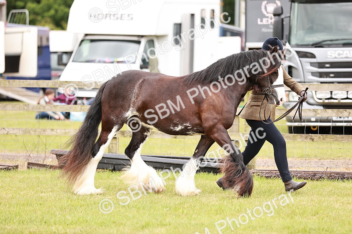 SBM_04652 - Class 5-8 - BSPA In hand