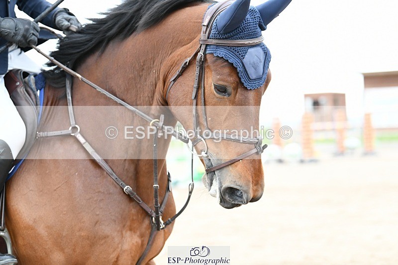 250508-101555-01029 - Cls 1 Snr Foxhunter