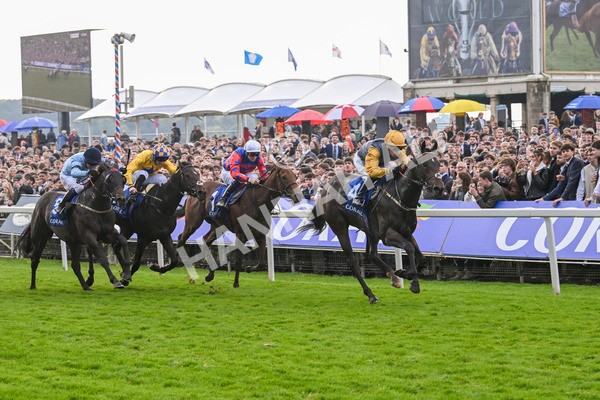 121024-Race 1-Jungle Drums-2564 - Race 1 1.30pm Coral Rockingham Stakes