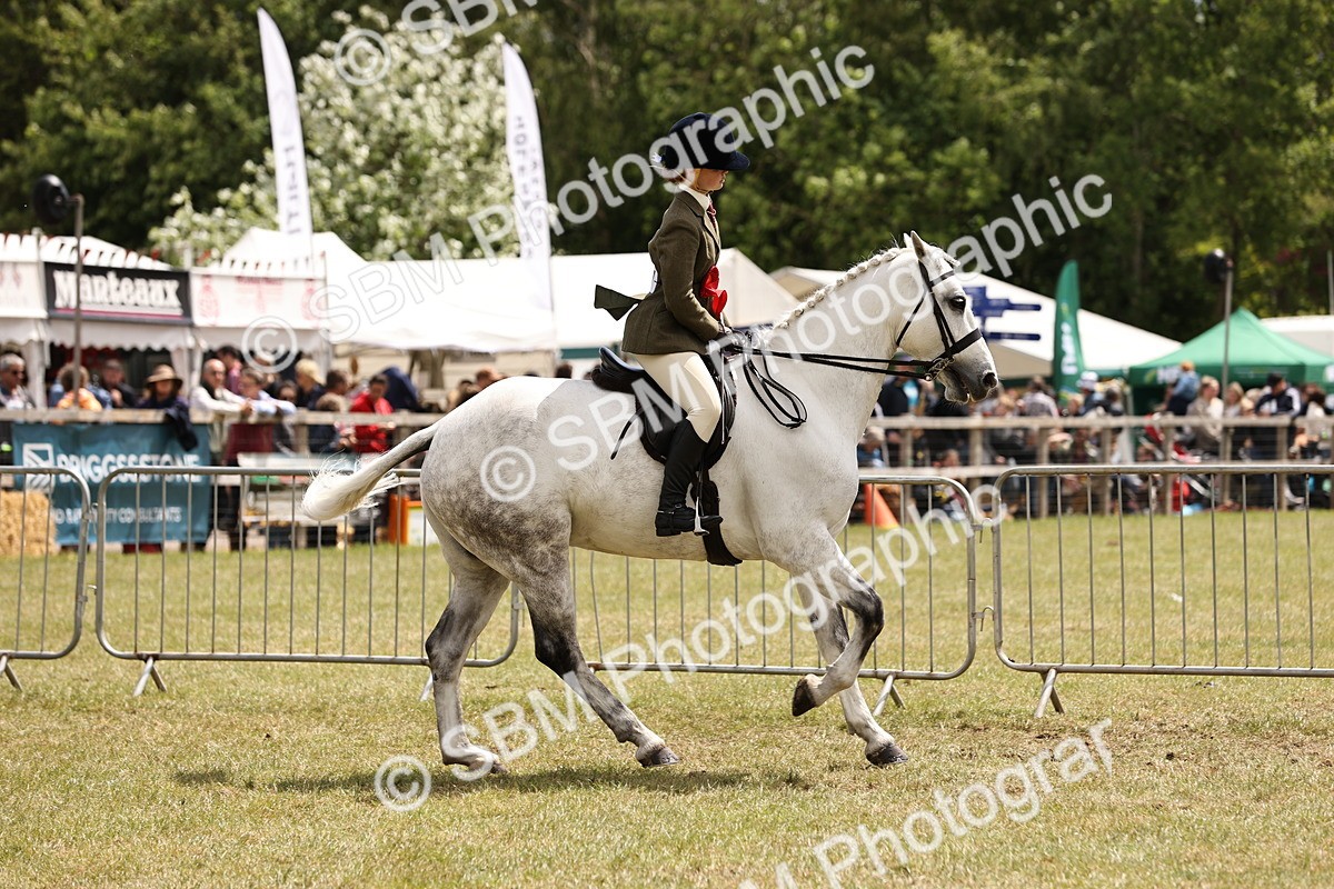 SBM_14803 - Class 88-89 - LIHS BSHA Rising Star of Ridden Hunter Type