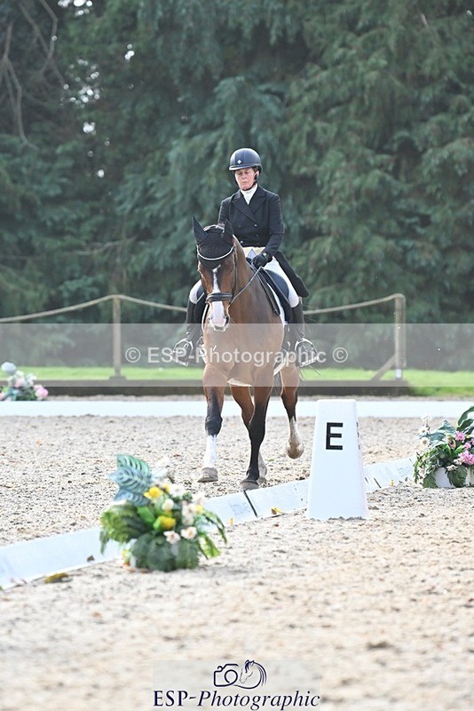 231019-110610-02042 - 105-BRIGHT.KNIGHT.III-Janet.Clarke-DR