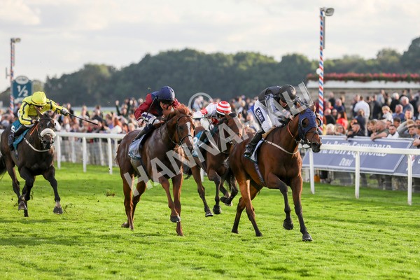 230923-Race 7-Two Brothers-5488 - Race 7 5.30pm Neil Atkinson's 60th Birthday Celebration Handicap