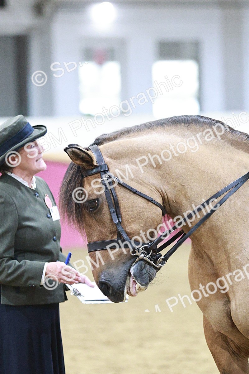 SBM_08099 - Class 11R - Regional Ridden Veteran