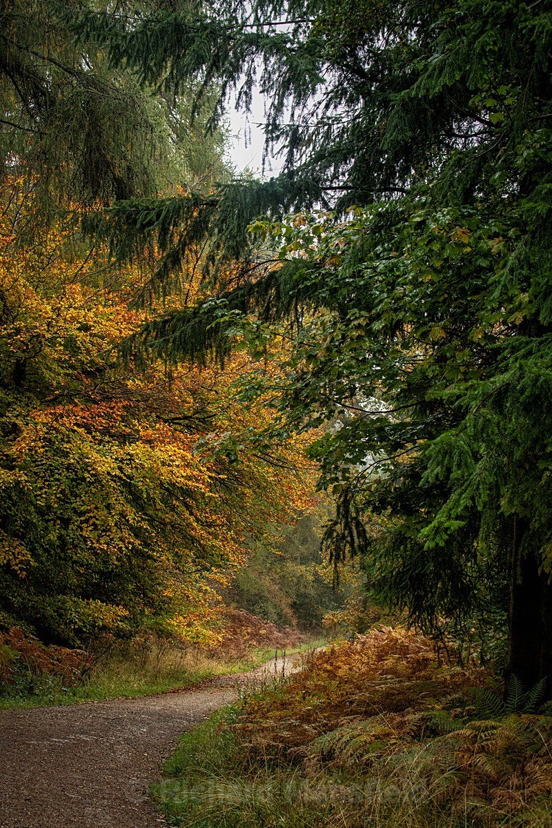  - Autumn