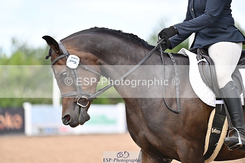 260704-130823-04759 - Cls 4D Senior Intermediate Novice 1