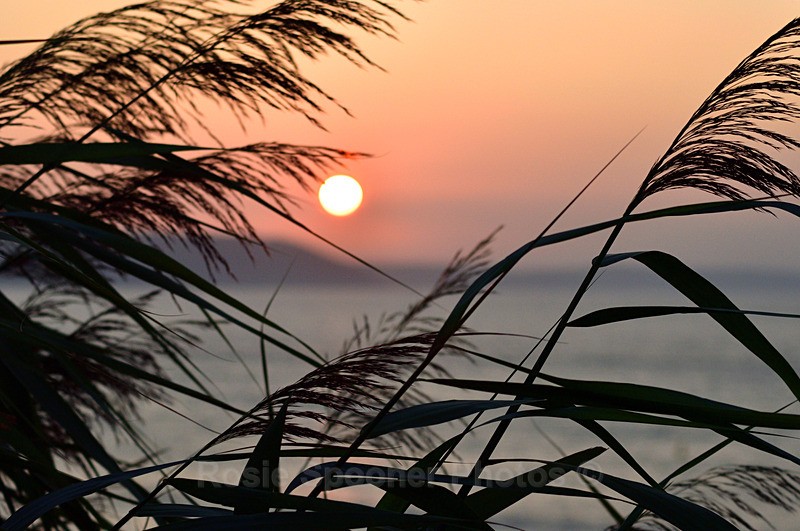 Hannafore Sunrise - Looe