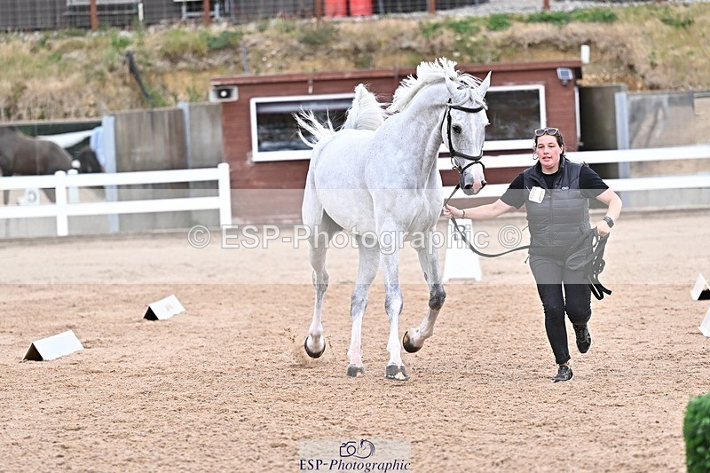 250716-164835-00775 - Trot Up 4.30 to 5.00