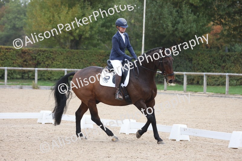 20251012-0629 - Class 5 - Elementary 5