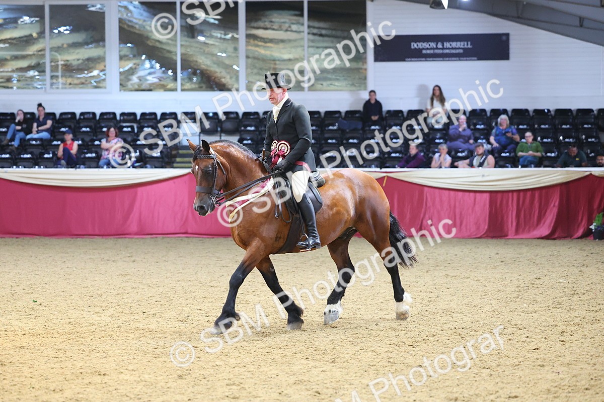 SBM_24710 - Class 906 - Supreme Final - Ridden Pre Vet