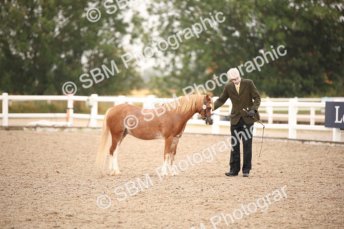 SBM_20717 - Class 705 - IH  Combination 65+