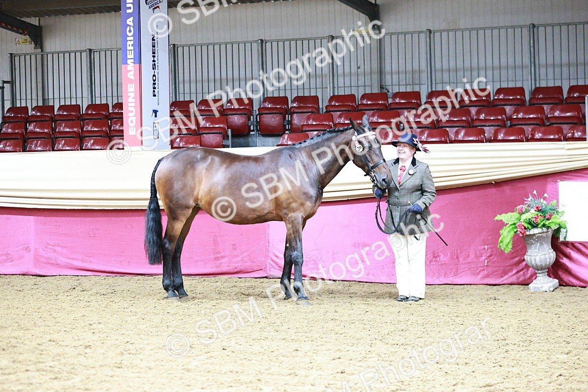 SBM_00877 - Class 2A - Area IH Veteran