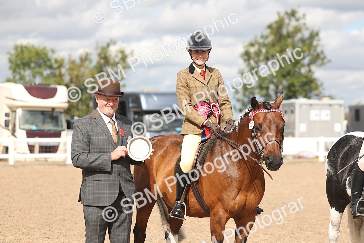 SBM_14675 - Class 307 - Ridden Coloured Pony