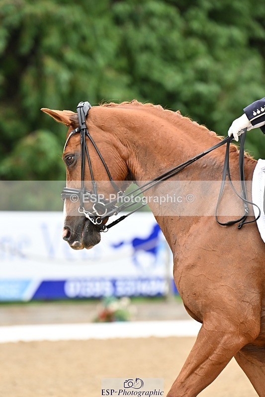 240811-103156-04764 - 156-Stacey.Escrig-Joie.De.Vivre