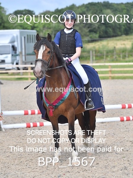 BPP_1567 - DERBY CLASS 3 - 40CM