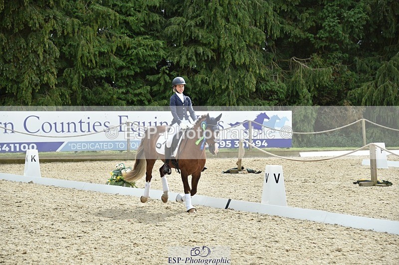 230812-160918-05429 - Novice Bronze Presentations