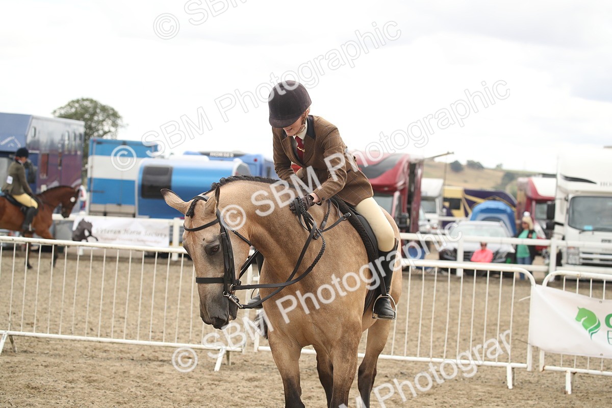 SBM_16669 - Class 507a - Working Veteran - 60cm (15-19)