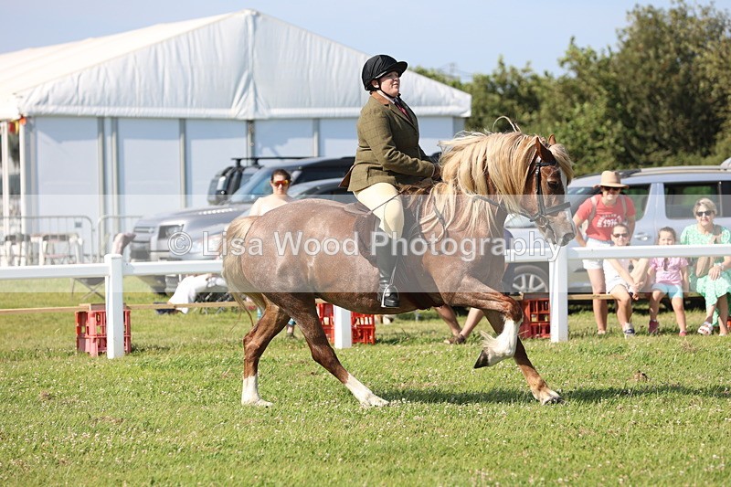 JPP_1769 - Class 19: Cornish Combination Open