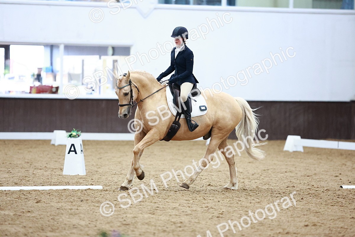 0B8A8311 - Class 5 - Novice 2