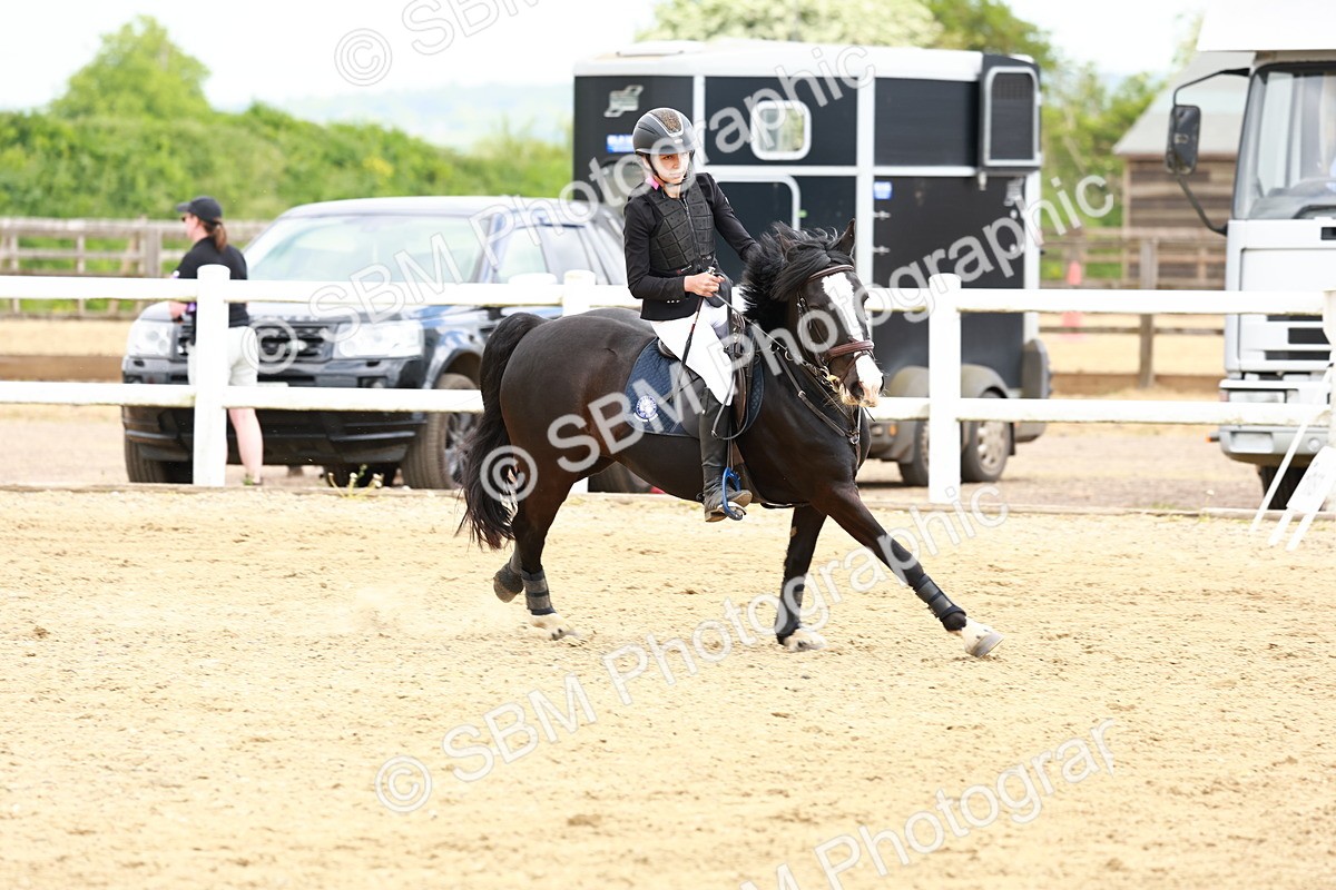 SBM_008120 - Class 3 - 60cm